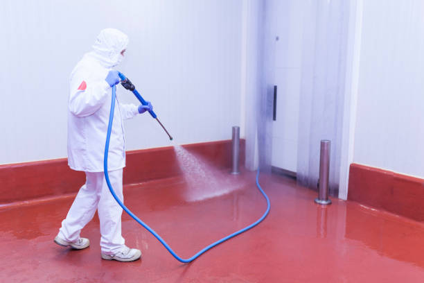 Best Playground Equipment Cleaning  in Brockport, NY